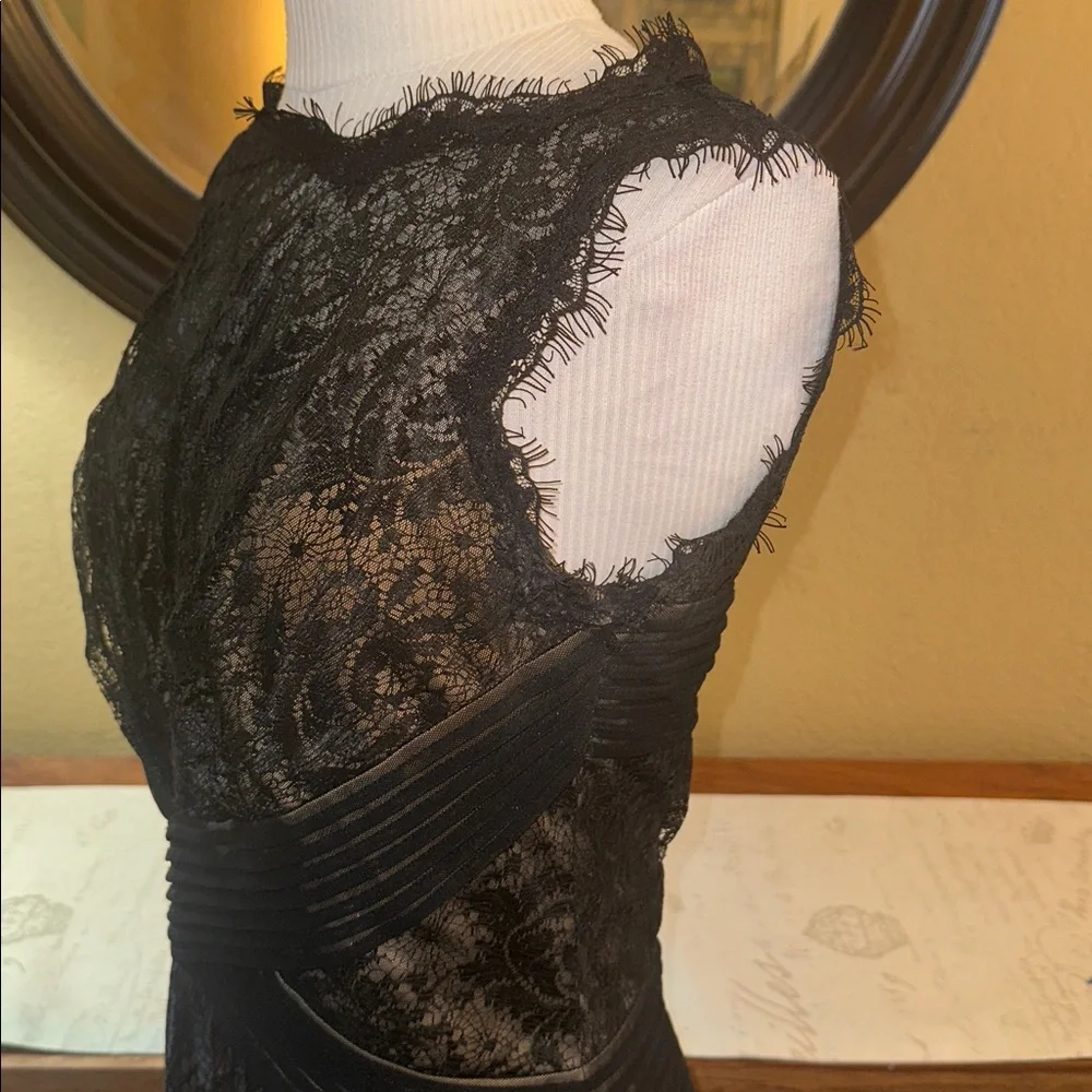 Tadashi Shoji Eyelash Lace Dress - Picture 5 of 9